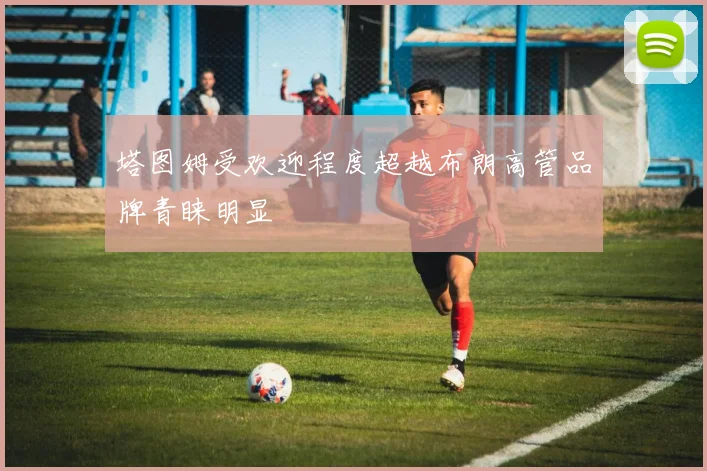 塔图姆受欢迎程度超越布朗高管品牌青睐明显